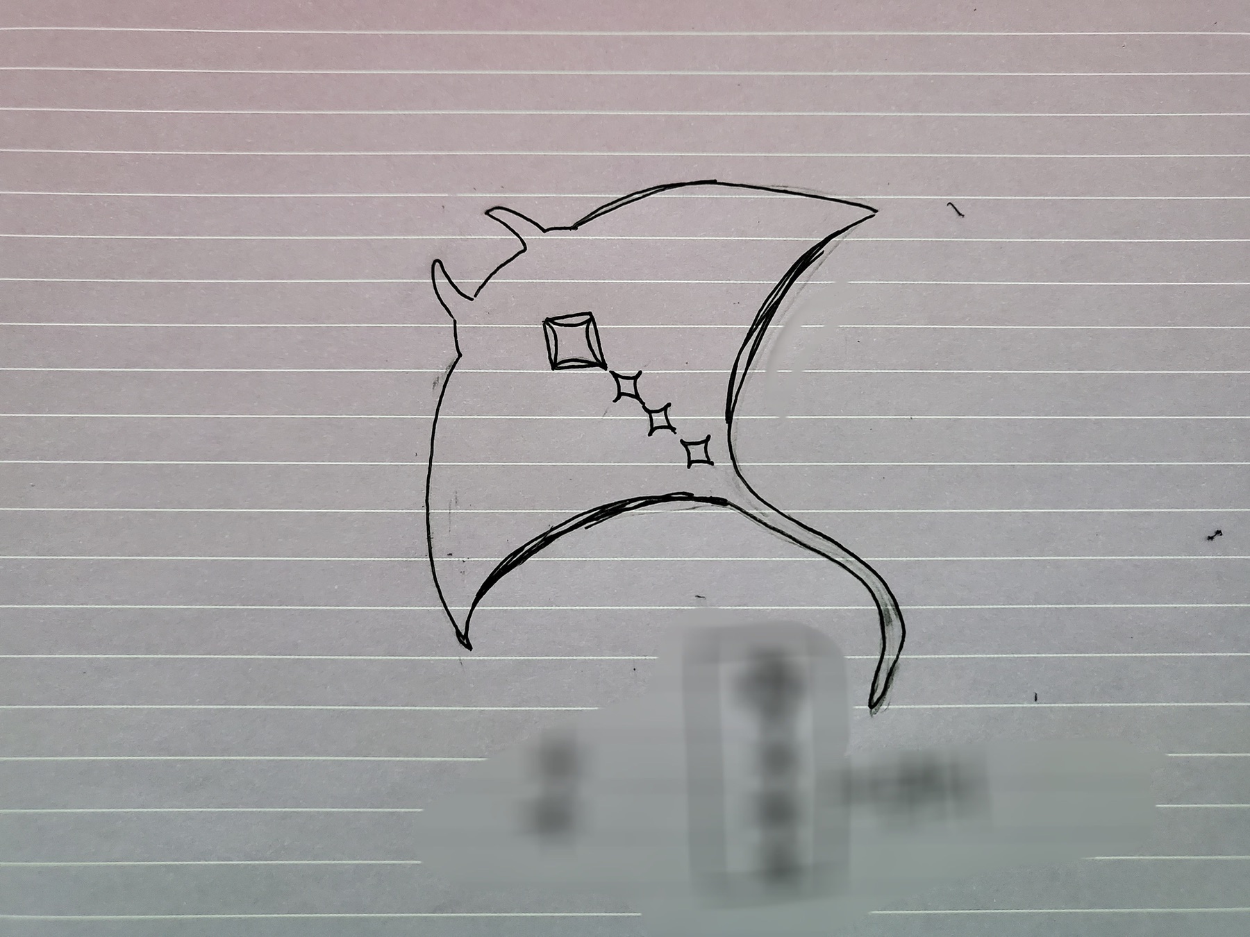 Client’s sketch